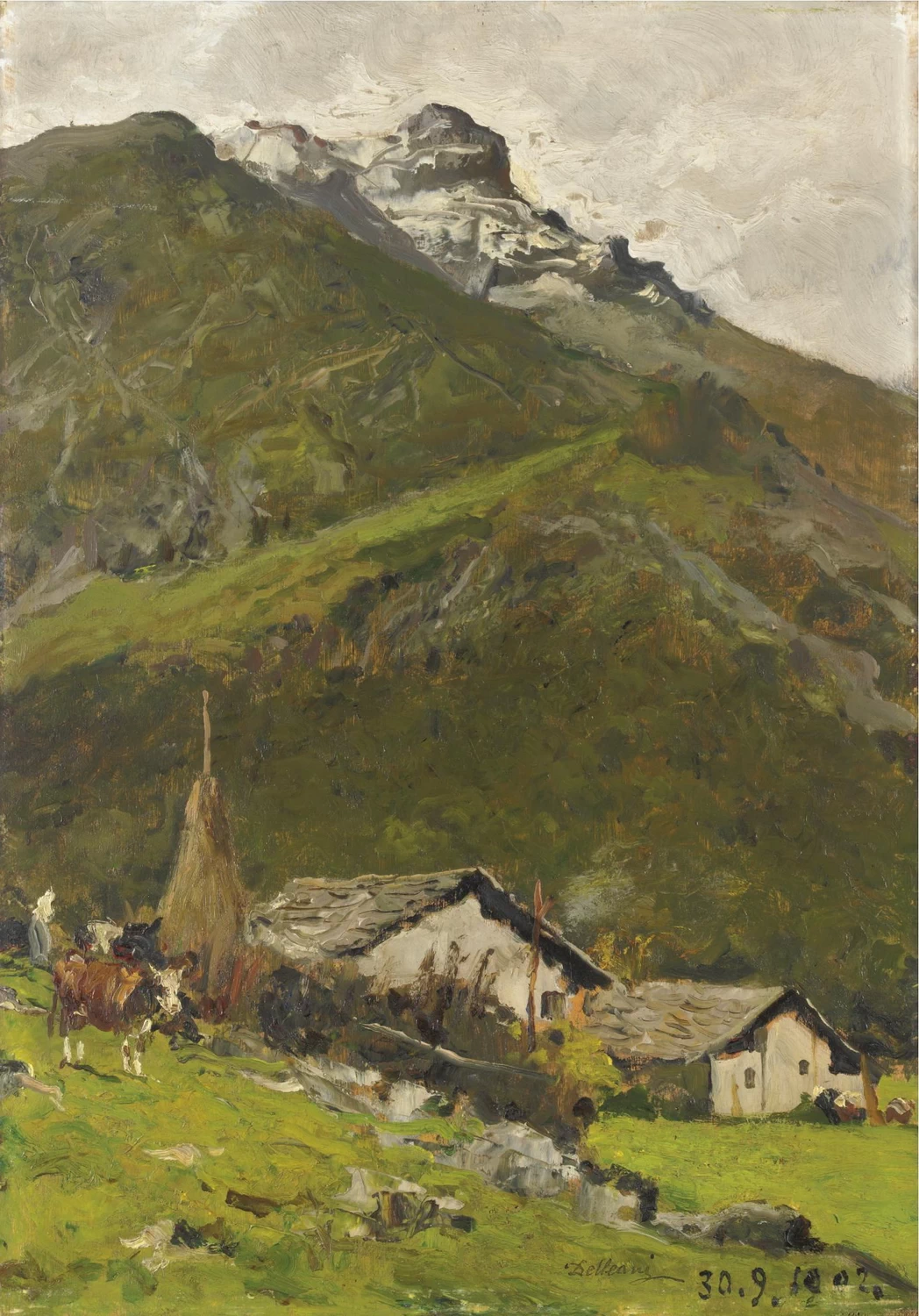 Paesaggio montano